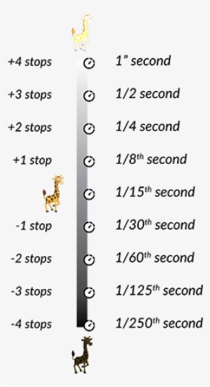 Shutter Speed Examples - Aperture