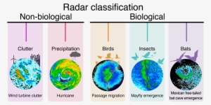Equipped With Computing Power And Advanced Radar Technology, - Circle