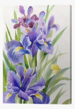 Watercolor Flower Collection - Lunch Napkins