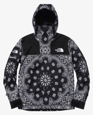 Supreme/the North Face Bandana Mountain Parka - Supreme X North Face 2014