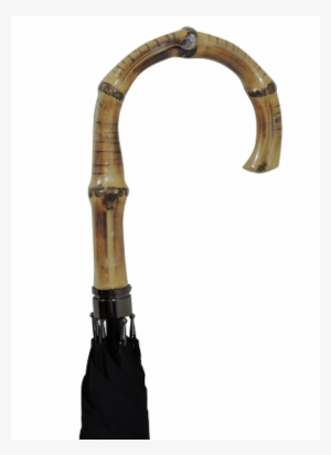 Assistive Cane