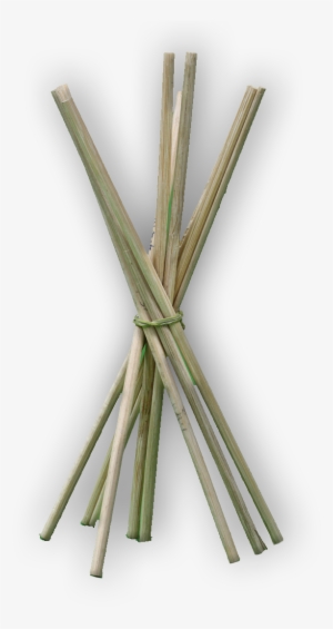 Bamboo Sticks - Wire