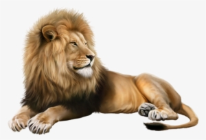 Lion - Portable Network Graphics