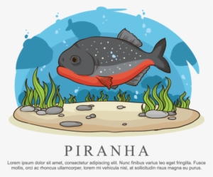 Piranha Vector Illustration - Illustration