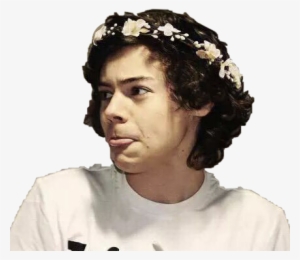 Harry Styles With Flower Crown