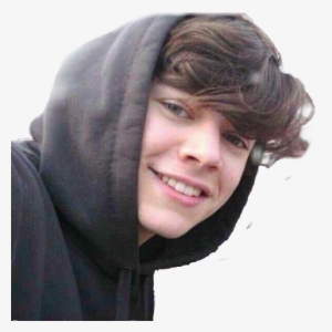 Harry Styles Fetus And Fan