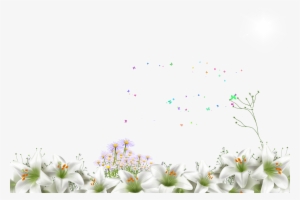 Gratis Para Fotos Wallpaper Floral Rosa Y Scrap Png - Psd