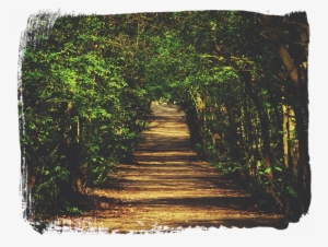 Meditation For Tammuz