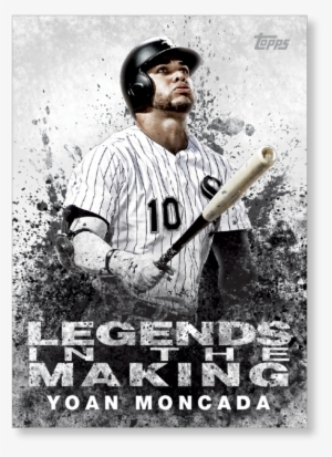 Close Zoom - Baseball