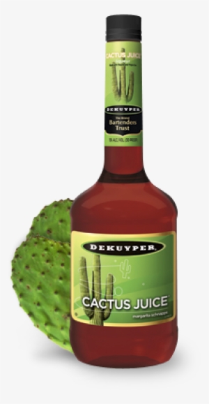 Dekuyper® Cactus Juice® Schnapps Liqueur - Dekuyper Cactus Juice