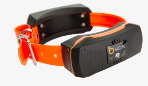 Orange Collar, White Bg, Left View, Png - Tracking Collar