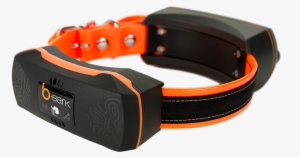 Orange Collar, White Bg, Right View, Png - B Bark