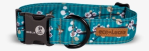 Cherry Blossom Dublin Dog Collar