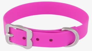 Product Codes - Red Dingo Vivid Pvc Dog Collar, Small, Hot Pink