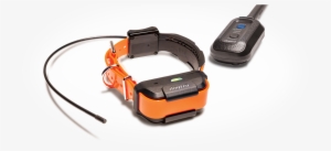 Bottom-collar - Dogtra Pathfinder Gps E-collar Black Gps E-collar Black