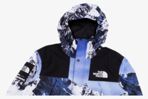 Supreme X North Face Mountain Jacket