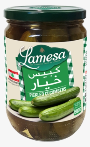 Cucumber Pickles - Pickled Cucumber