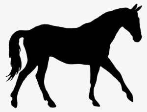 Horse Silhouette Png