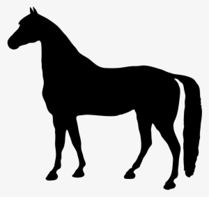 Horse Head Silhouette Png - Horse Silhouette No Background