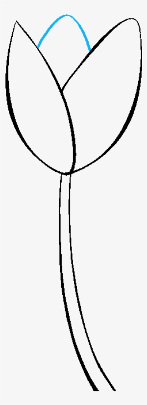 How To Draw A Tulip Really Easy Drawing Tutorial Png - Line Art