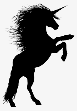 Black Stallion Silhouette
