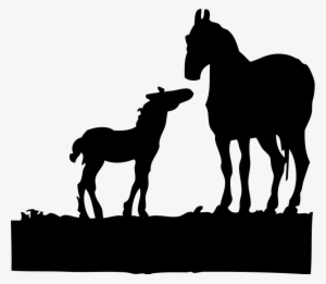 Animal Welfare Investigations, Brumby News, Racehorse - Mare And Foal Silhouette