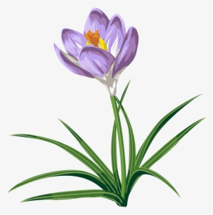 Spring Clipart Crocus - Crocus Clip Art