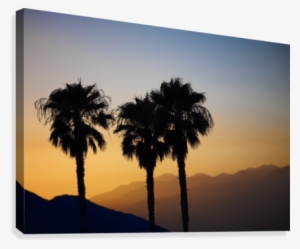 Silhouette Of Three Palm Trees At Sunset With Layers - Silhouette Of Three Palm Trees At Sunset