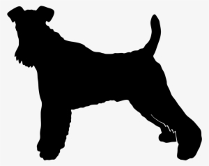 Tell A Friend - Wire Hair Fox Terrier