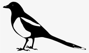 Crow Clipart Urraca - Magpie Silhouette