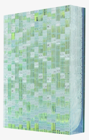 <b>green - Paper