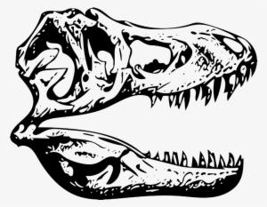 T-rex Tyrannosaurus Fossil - T Rex Skull Clip Art