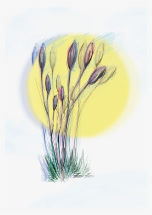 Thank You - Spring Crocus