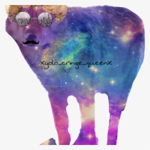 Galaxy