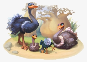 Ostrich Family - Common Ostrich