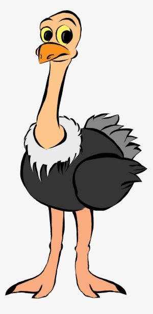 Ostrich Clipart