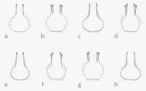 Comparison Of Mean Bottle Shapes By Type For Those - Portable Network Graphics