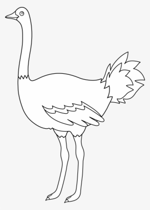 Svg Freeuse Library Colorable Design Free Clip Art - Clip Art