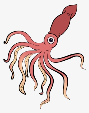 Easy Drawing Guides On Twitter - Easy Squid Drawing