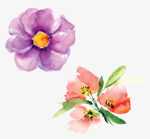 Hand Painted Flowers Hd Beautiful Png Petals Illustration - Watercolor Painting