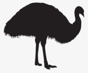 Svg Royalty Free Library Animal Silhouettes The Arts - Emu