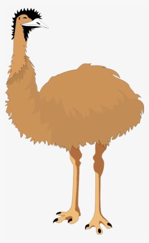 Emu Clipart Ostrich - Эму Пнг