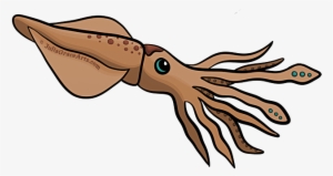 Cartoon Squid Png - Cartoon Picture Of Squid