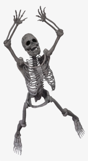 Spooky Skeleton Png - Esqueleto Axial En 3d