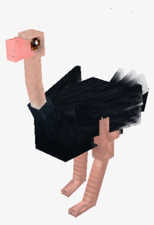 Male Ostrich Mo Creatures