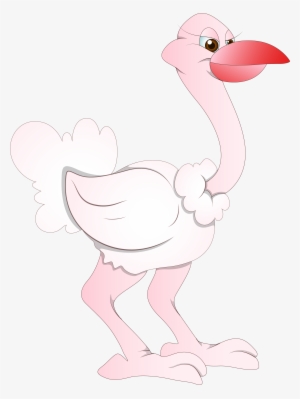 Common Ostrich Bird Cartoon Drawing Feather - Common Ostrich
