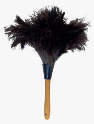 Ostrich Feather Png - Feather Duster