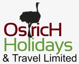 Ostrich Holidays And Travel Limited - Jd Geotechnical Services Pty Ltd