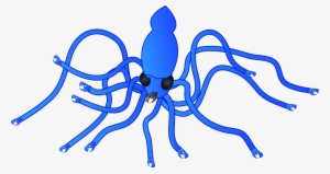 Great Temple Squid - Squid