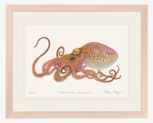 California Two Spot Octopus